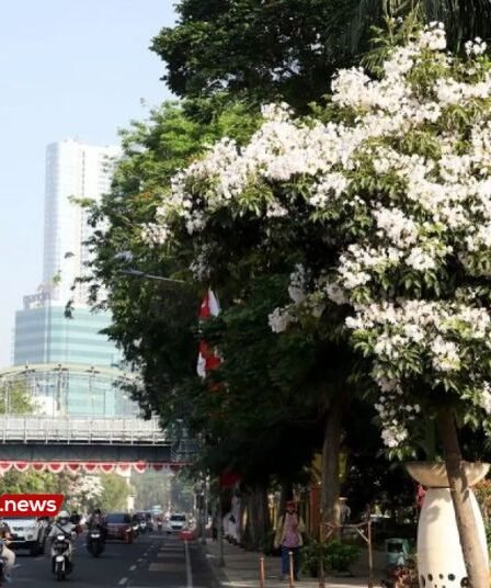 Surabaya di Posisi 10 Besar Kota dengan Kualitas Udara Terbersih Nasional 3 Surabaya di Posisi 10 Besar Kota dengan Kualitas Udara Terbersih Nasional