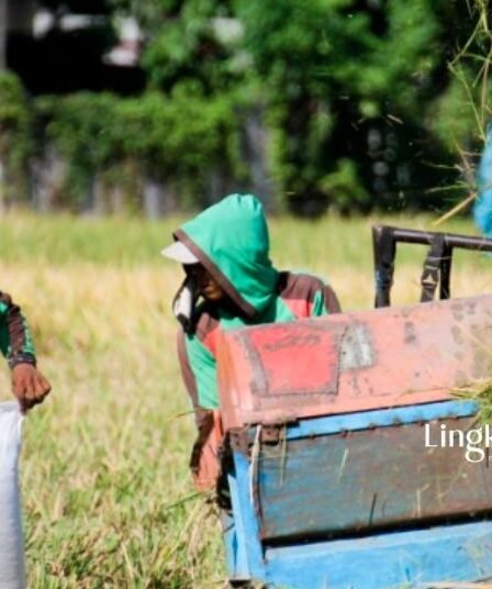 Antisipasi Kekeringan Pemkab Situbondo Terapkan Sistem Pengairan Sawah Bergilir