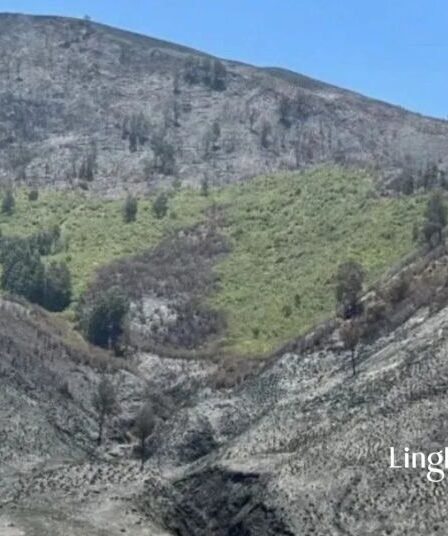Berkas Tersangka Kasus Kebakaran Bukit Teletubbies Diserahkan Kejati 2 Berkas Tersangka Kasus Kebakaran Bukit Teletubbies Diserahkan Kejati