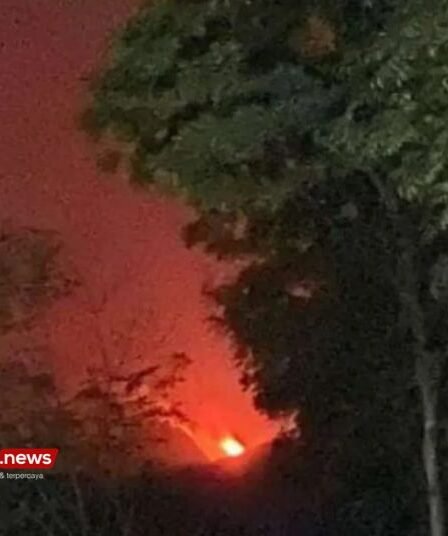 Karhutla Argopuro BPBD Jember Belum Bisa Pastikan Lokasi Titik Api