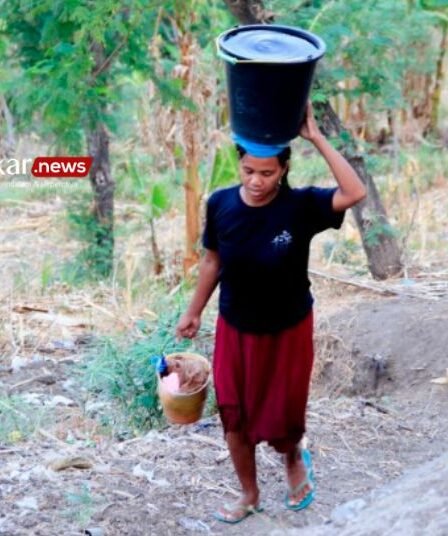 Krisis Air Bersih di Situbondo, Warga Hanya dapat Bantuan 1 Minggu Sekali 1 Krisis Air Bersih di Situbondo Warga Hanya dapat Bantuan 1 Minggu Sekali
