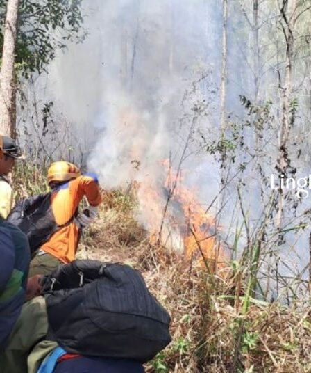 35 Ha Lahan Hutan di Gunung Panderman Terbakar Diduga Akibat Sambaran Petir