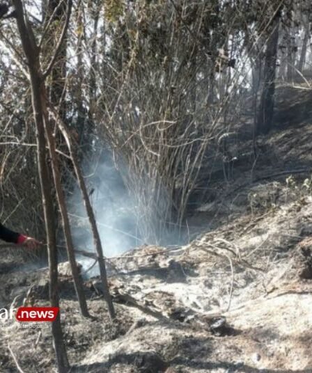 46 Ha Lahan Terbakar, Kebakaran Gunung Kawi Diperkirakan Terus Meluas 6 46 Ha Lahan Terbakar Kebakaran Gunung Kawi Diperkirakan Terus Meluas