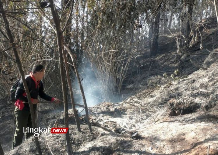 46 Ha Lahan Terbakar Kebakaran Gunung Kawi Diperkirakan Terus Meluas
