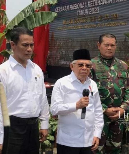Pemerintah Susun Langkah Preventif Hindari Petugas Pemilu Kelelahan hingga Meninggal 7 Pemerintah Susun Langkah Preventif Hindari Petugas Pemilu Kelelahan Massal dan Meninggal