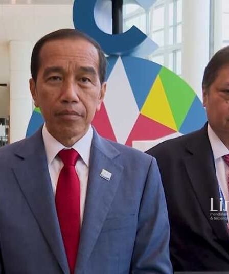 Presiden Jokowi Optimis Investor Luar Negeri Segera Masuk IKN