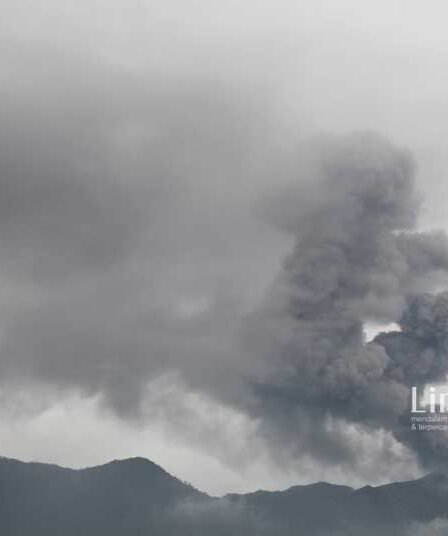 Pendaki yang Hilang di Gunung Marapi Belum Ditemukan hingga Pagi Ini 7 Pendaki yang Hilang di Gunung Marapi Belum Ditemukan Hingga Pagi Ini