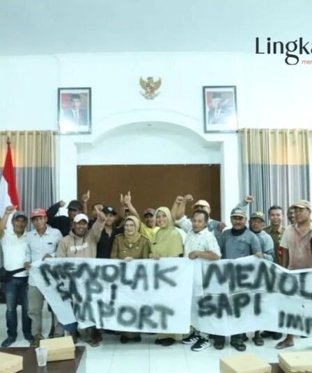 Marak Sapi Eks Impor di Lumajang Pemkab Keluarkan Larangan Sapi Impor Masuk Daerah