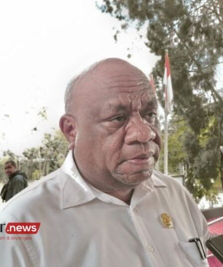 Pemkot Jayapura Diminta Bentuk Dinas Damkar Terpisah dari Satpol PP