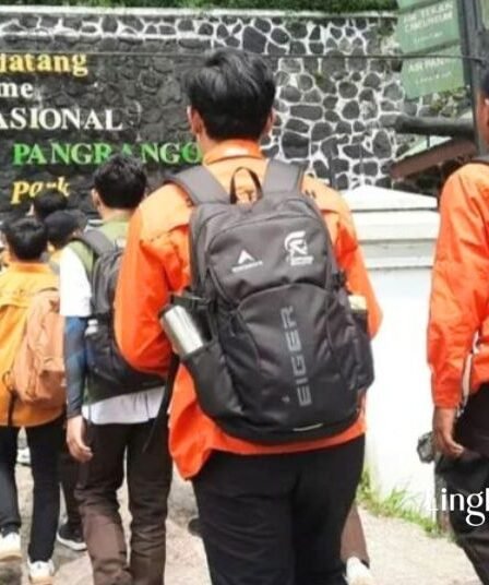Tersesat Saat Mendaki Gunung Pangrango 13 Pendaki Ditemukan di Blok Pasir Pogoe