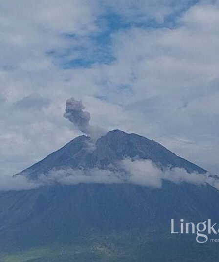 Erupsi Lagi, Gunung Semeru Semburkan Abu Vulkanik Setinggi 800 Meter 6 Gunung Semeru