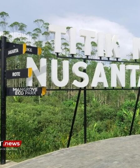 Jokowi Arahkan Badan Usaha OIKN INA Garap Minat Investor Asing di IKN