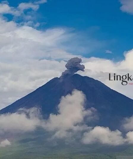 Siaga Erupsi Gunung Semeru, Warga Dilarang Aktivitas 13 Km dari Puncak 7 Siaga Erupsi Gunung Semeru Warga Dilarang Aktivitas 13 Km dari Puncak