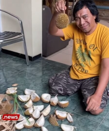 Komeng Ditetapkan Jadi DPD Jabar dengan Perolehan Suara Terbanyak
