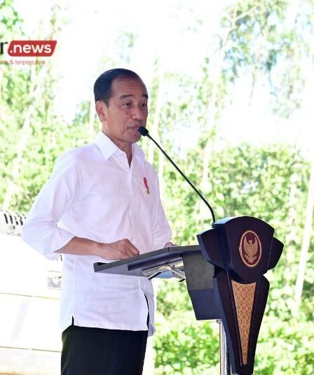 Presiden Jokowi Prediksi Harga Beras segera Turun dalam Waktu 1 Bulan