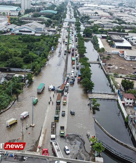 pantauan drone banjir demak kudus dan jepara