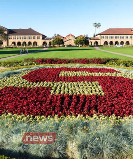 stanford university bangun kampus di IKN