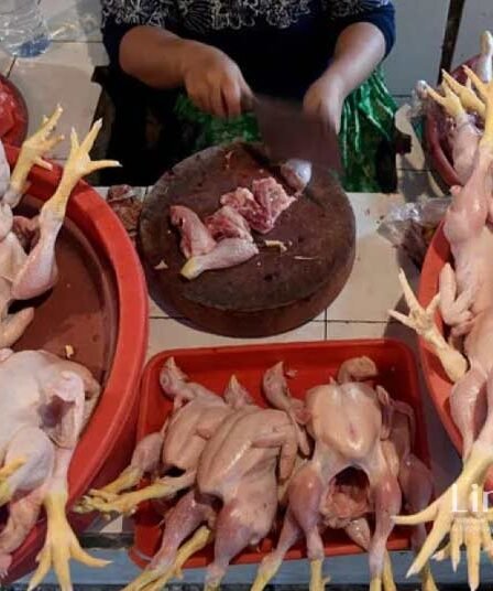 Harga Komoditas Bahan Pokok di Kediri Terpantau Stabil Pasca Lebaran 2024 6 Harga Komoditas Bahan Pokok di Kediri Terpantau Stabil Pasca Lebaran 2024