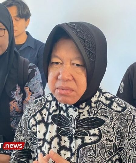 risma saat ditanya dipanggil mk sidang phpu