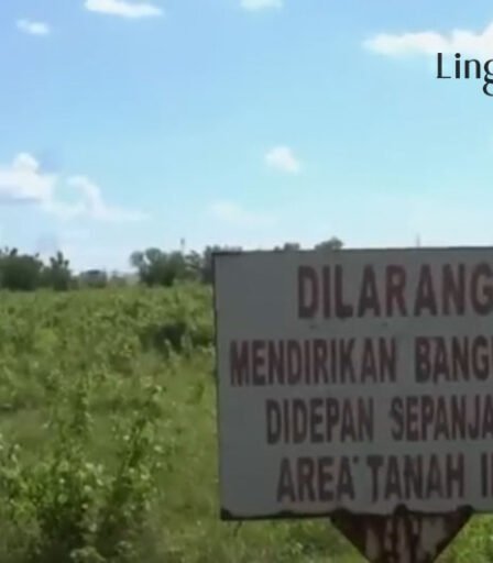 Penampakan Lahan Rumah Penisun Jokowi di Karanganyar Luas 12 Ribu Meter Persegi 768x512 1