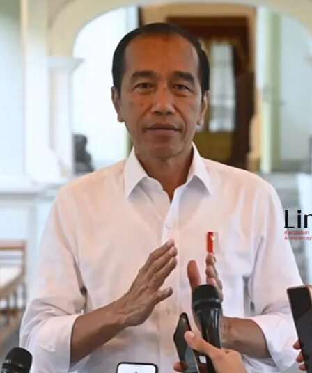 Tegas, Presiden Larang Masyarakat Berjudi hingga 2,1 Juta Situs Judol Diblokir 2 jokowi judi