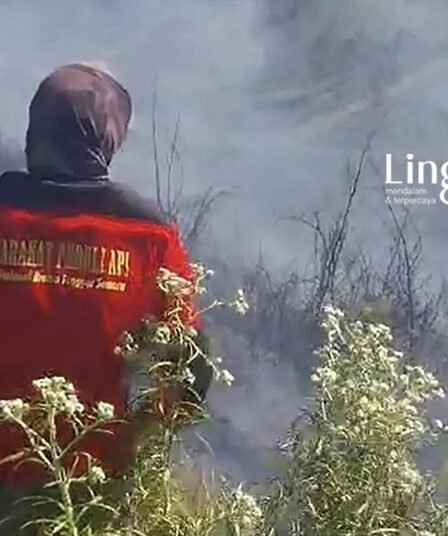 karhutla bromo