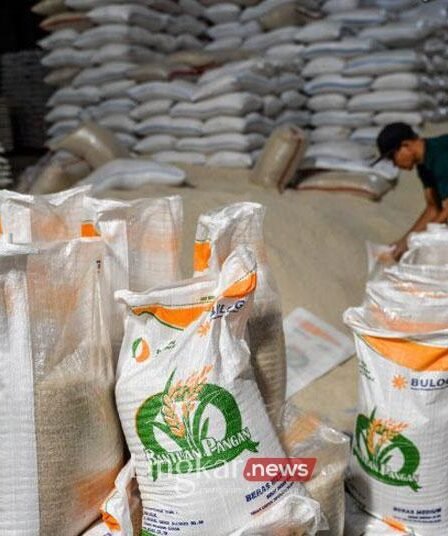 Buruh pikul mengemas beras bantuan pangan