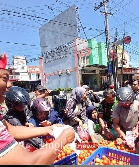 Harga Tomat Terjun Jadi Rp 500 Per Kilo, Dewan Hanya Ikut Prihatin 8 petani tomat jembar bagkan tomat disekitar kantor DPRD anggota dewan hanya ikut prihatin