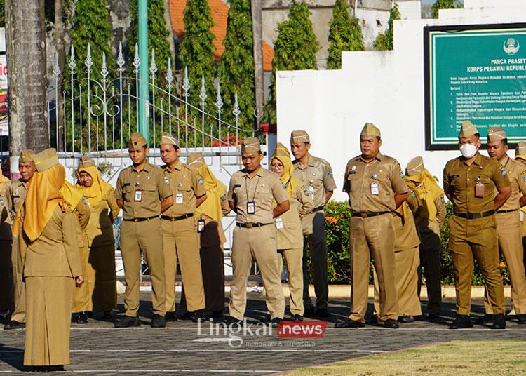 Aparatur sipil negara ASN dan Pegawai Pemerintah Non Pegawai Negeri PPNPN