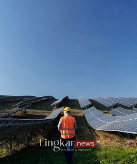 Pemerintah Kejar Green Investment hingga Ketahanan Pangan 2025-2029 6 Pemerintah Kejar Green Investment hingga Ketahanan Pangan 2025 2029