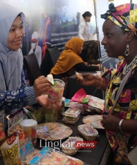 Predatory Pricing E Commerce Asal China Ancam Ekosistem UMKM Indonesia