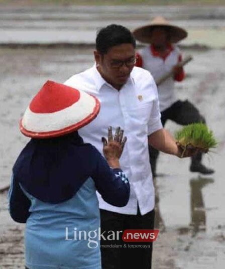 Wamentan: Program Cetak 3 Juta Hektare Sawah demi Hadapi Ancaman Krisis 3 Wakil Menteri Pertanian Sudaryono