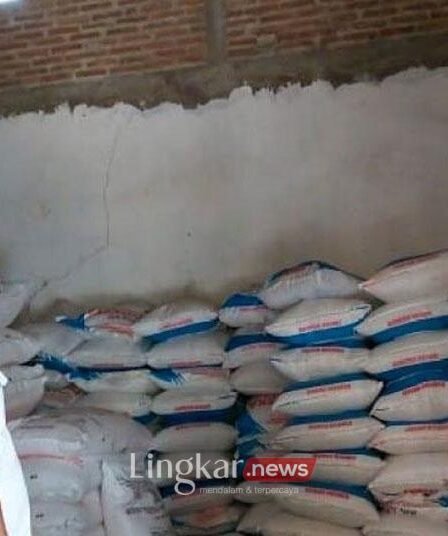 Serapan Pupuk Subsidi di Situbondo Sudah Capai 70 Persen 5 situbondo