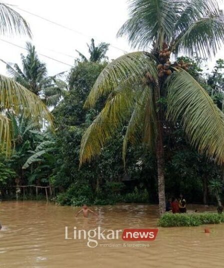 Banjir di Jember Rendam Ratusan Rumah Ketinggian Air Capai 1 Meter