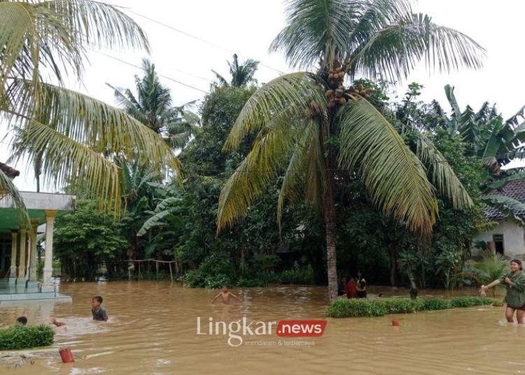 Banjir di Jember Rendam Ratusan Rumah Ketinggian Air Capai 1 Meter