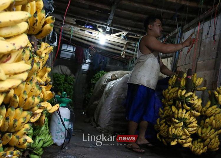 Pedagang menata buah pisang dagangannya di Palmerah