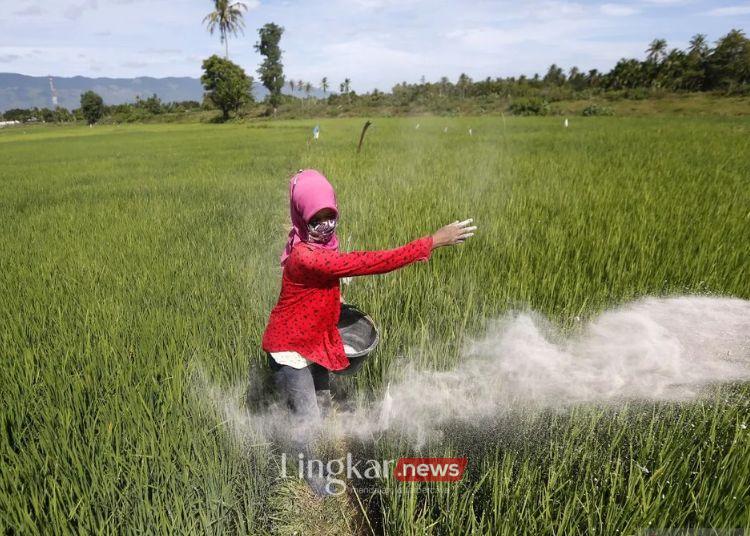 Pemerintah Tetapkan Jatah Pupuk Subsidi 955 Juta Ton