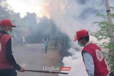 Petugas saat melakukan fogging