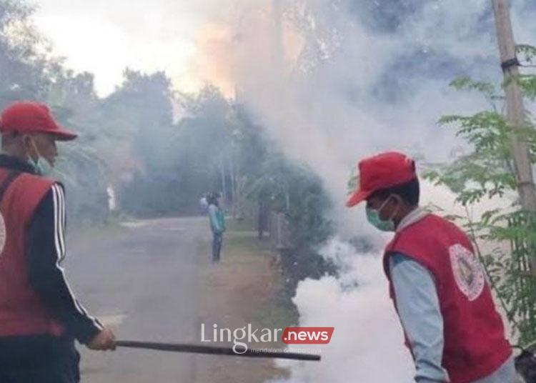 Petugas saat melakukan fogging