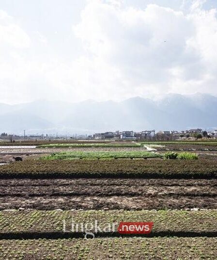 Program Petani Milenial Kementan Beri Jaminan Penghasilan Lebih dari Rp10 Juta