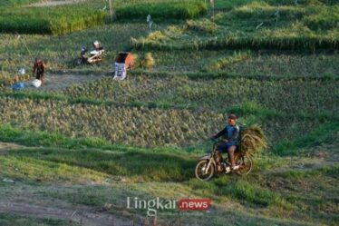 areal Waduk Dawuhan di Kabupaten Madiun Jawa Timur