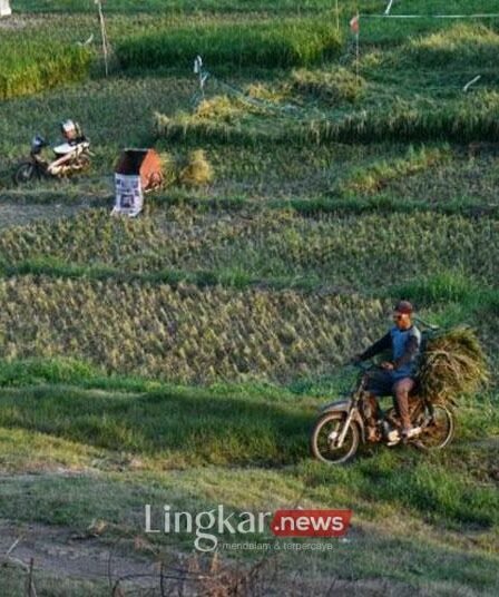 areal Waduk Dawuhan di Kabupaten Madiun Jawa Timur