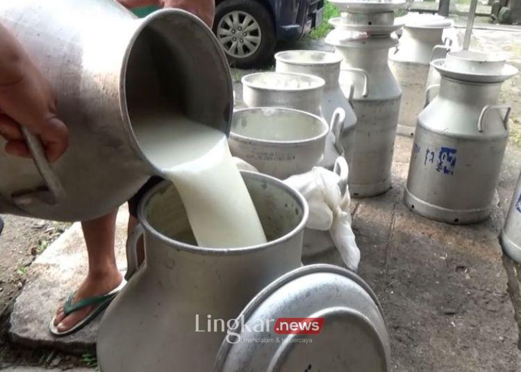 Indonesia Punya 7 Tantangan untuk Perkuat Produksi Susu Sapi Lokal