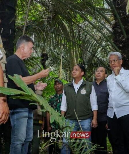 Kemenhut Siapkan 2 Juta Hektare Lahan Hutan Aren untuk Bioethanol