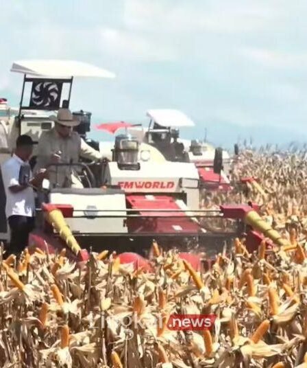 Prabowo Ngaku Tak Bisa Tenang Jika RI Belum Swasembada Pangan