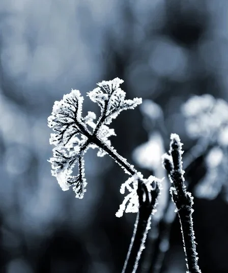 Fenomena Bediding Diprediksi Terjadi hingga September 2025 6 Ilustrasi bediding