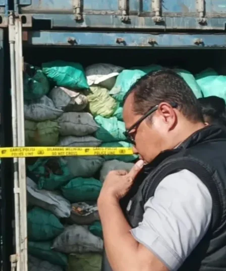 Kasus Tambang Batu Bara Ilegal di IKN, Negara Rugi Rp 5,7 Triliun 8 result 1000326877.jpg