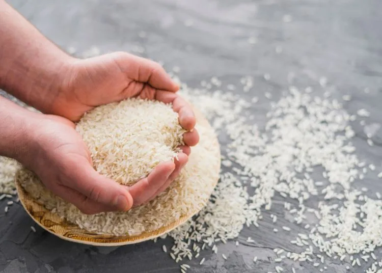 Pemerintah Segera Terapkan Perubahan Harga Beras Usai Kasus Beras Oplosan