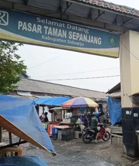 Geger Isu Penemuan Puluhan Potongan Kepala Kucing di Sidoarjo, Polisi: Hoaks 8 sidoarjo