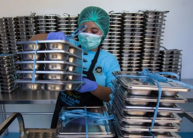 BGN Selidiki Dugaan Nampan MBG dari China Mengandung Minyak Babi 1 Nampan MBG